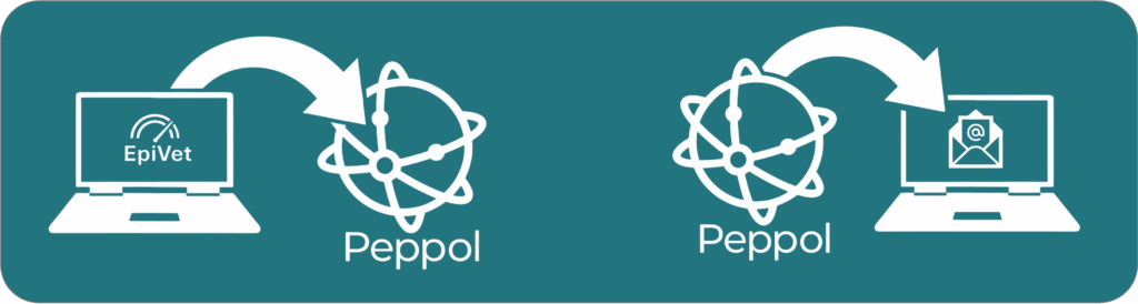 Formulaire Epivet Peppol