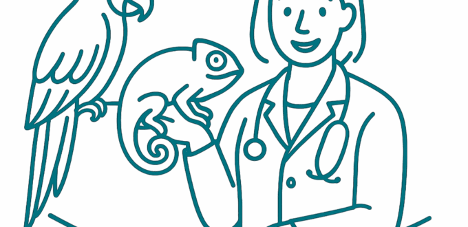 NAC - 10 bonnes pratiques pour les vétérinaires