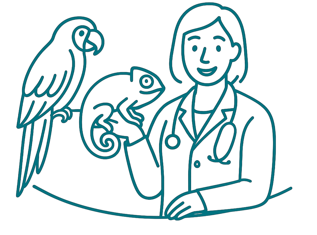 NAC - 10 bonnes pratiques pour les vétérinaires